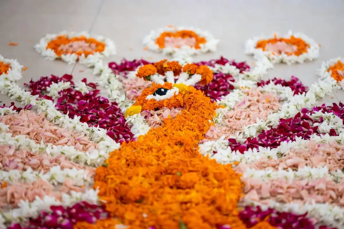 Peacock rangoli design made with marigold and rose petals