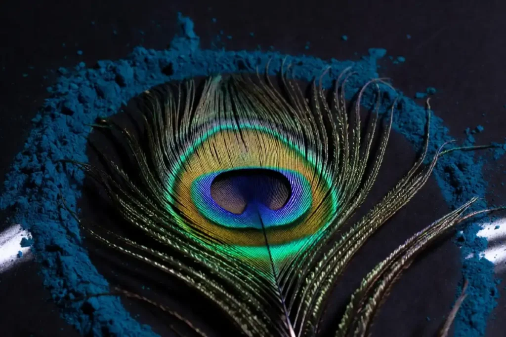 Close-up of a peacock feather eye detail in a rangoli design with teal and yellow powder rings